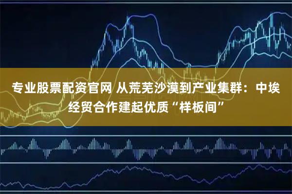 专业股票配资官网 从荒芜沙漠到产业集群:中埃经贸合作建起优质“样板间”